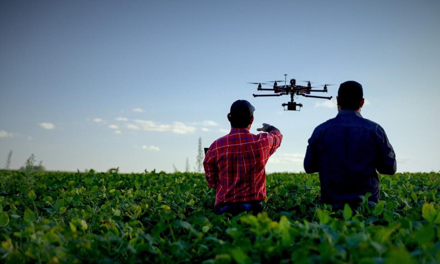 Organic Farm & Local Produce Supply