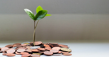 Finance